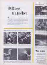 Better Homes & Gardens March 1955 Magazine Article: FOUR steps to a good lawn
