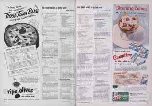 Better Homes & Gardens March 1955 Magazine Article: Page 102