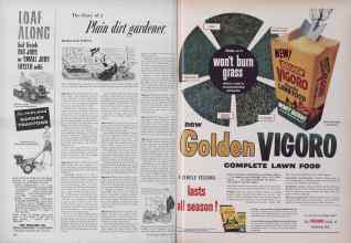 Better Homes & Gardens March 1955 Magazine Article: Page 232