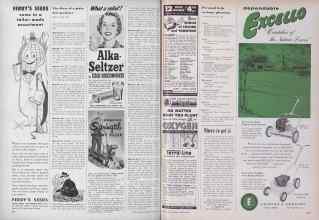 Better Homes & Gardens March 1955 Magazine Article: Page 234