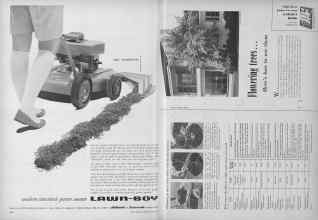 Better Homes & Gardens March 1955 Magazine Article: Page 242