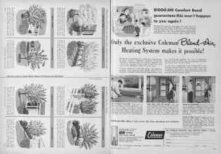 Better Homes & Gardens March 1955 Magazine Article: Page 244