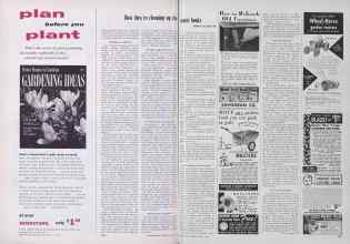 Better Homes & Gardens March 1955 Magazine Article: Page 254