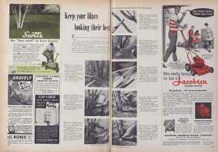 Better Homes & Gardens March 1955 Magazine Article: Keep your looking their best