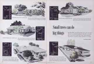 Better Homes & Gardens April 1955 Magazine Article: Page 94