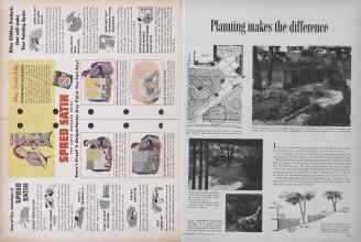 Better Homes & Gardens April 1955 Magazine Article: Page 230