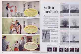 Better Homes & Gardens April 1955 Magazine Article: Page 284