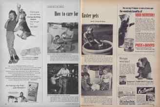 Better Homes & Gardens April 1955 Magazine Article: How to care for Easter pets
