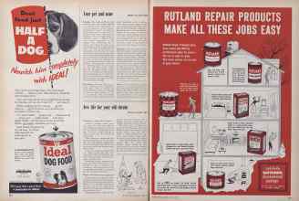 Better Homes & Gardens April 1955 Magazine Article: Page 290