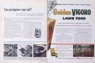 Better Homes & Gardens April 1955 Magazine Article: Page 310