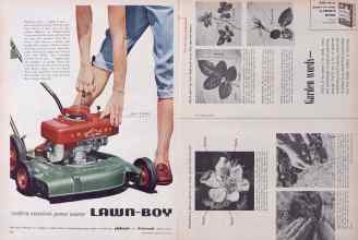 Better Homes & Gardens April 1955 Magazine Article: Page 326