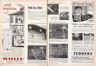 Better Homes & Gardens May 1955 Magazine Article: Food on a fence