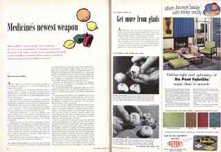 Better Homes & Gardens May 1955 Magazine Article: Page 38