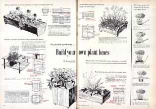 Better Homes & Gardens May 1955 Magazine Article: Build your own plant boxes