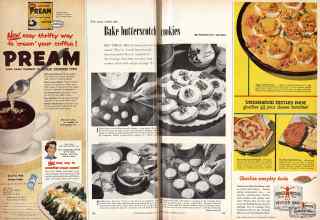 Better Homes & Gardens May 1955 Magazine Article: Page 102