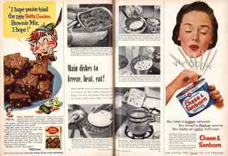 Better Homes & Gardens May 1955 Magazine Article: Page 110