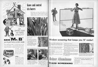Better Homes & Gardens May 1955 Magazine Article: Page 216