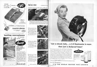 Better Homes & Gardens May 1955 Magazine Article: Page 252