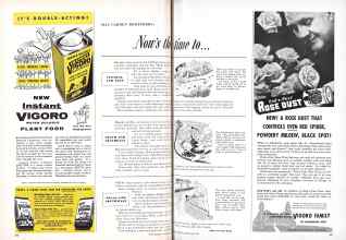 Better Homes & Gardens May 1955 Magazine Article: MAY GARDEN REMINDERS: New's the time to . . .