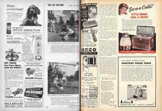 Better Homes & Gardens May 1955 Magazine Article: Page 290