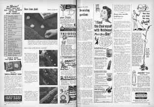 Better Homes & Gardens May 1955 Magazine Article: Page 310