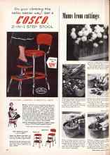 Better Homes & Gardens June 1955 Magazine Article: Mums from cuttings