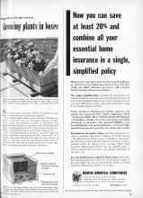 Better Homes & Gardens June 1955 Magazine Article: Growing plants in boxes