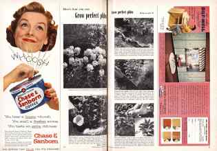 Better Homes & Gardens June 1955 Magazine Article: Page 24