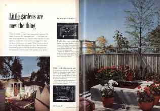 Better Homes & Gardens June 1955 Magazine Article: Little gardens are now the thing