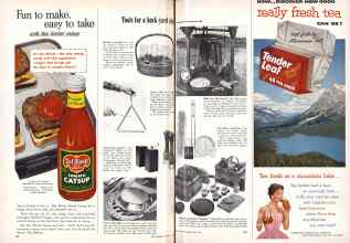 Better Homes & Gardens June 1955 Magazine Article: Page 102