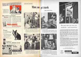 Better Homes & Gardens June 1955 Magazine Article: When your pet travels