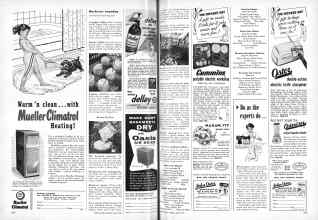 Better Homes & Gardens June 1955 Magazine Article: Page 168