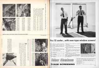 Better Homes & Gardens June 1955 Magazine Article: Page 228