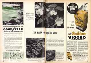 Better Homes & Gardens June 1955 Magazine Article: Six plants you ought to know