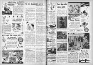 Better Homes & Gardens June 1955 Magazine Article: Page 238