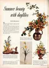 Better Homes & Gardens July 1955 Magazine Article: Summer beauty with daylilies