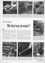 Better Homes & Gardens July 1955 Magazine Article: Do you know The best way to water?