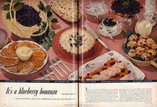 Better Homes & Gardens July 1955 Magazine Article: Page 62