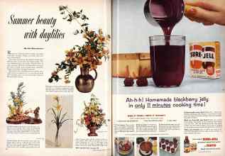 Better Homes & Gardens July 1955 Magazine Article: Page 74