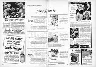Better Homes & Gardens July 1955 Magazine Article: JULY GARDEN REMINDERS: Now's the time to . . .