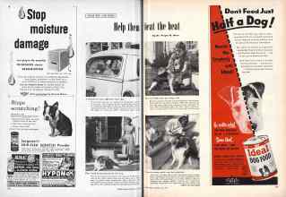 Better Homes & Gardens July 1955 Magazine Article: Help them beat the heat