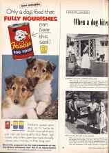 Better Homes & Gardens August 1955 Magazine Article: Article