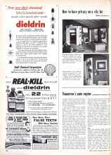 Better Homes & Gardens August 1955 Magazine Article: How to have privacy on a city lot