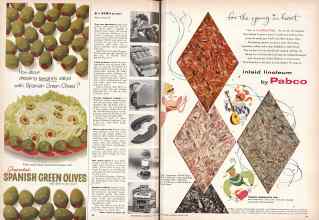 Better Homes & Gardens August 1955 Magazine Article: Page 38