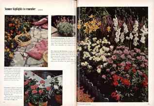 Better Homes & Gardens August 1955 Magazine Article: Page 52