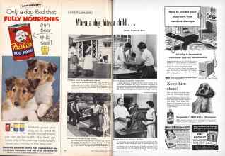 Better Homes & Gardens August 1955 Magazine Article: When a dog bites a child . . .