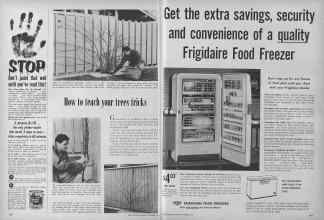 Better Homes & Gardens September 1955 Magazine Article: Page 168