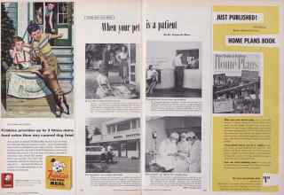 Better Homes & Gardens September 1955 Magazine Article: When your pet is a patient