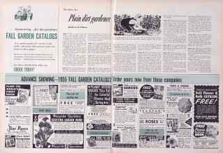 Better Homes & Gardens September 1955 Magazine Article: The diary of a Plain dirt gardener