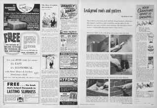 Better Homes & Gardens September 1955 Magazine Article: Page 250